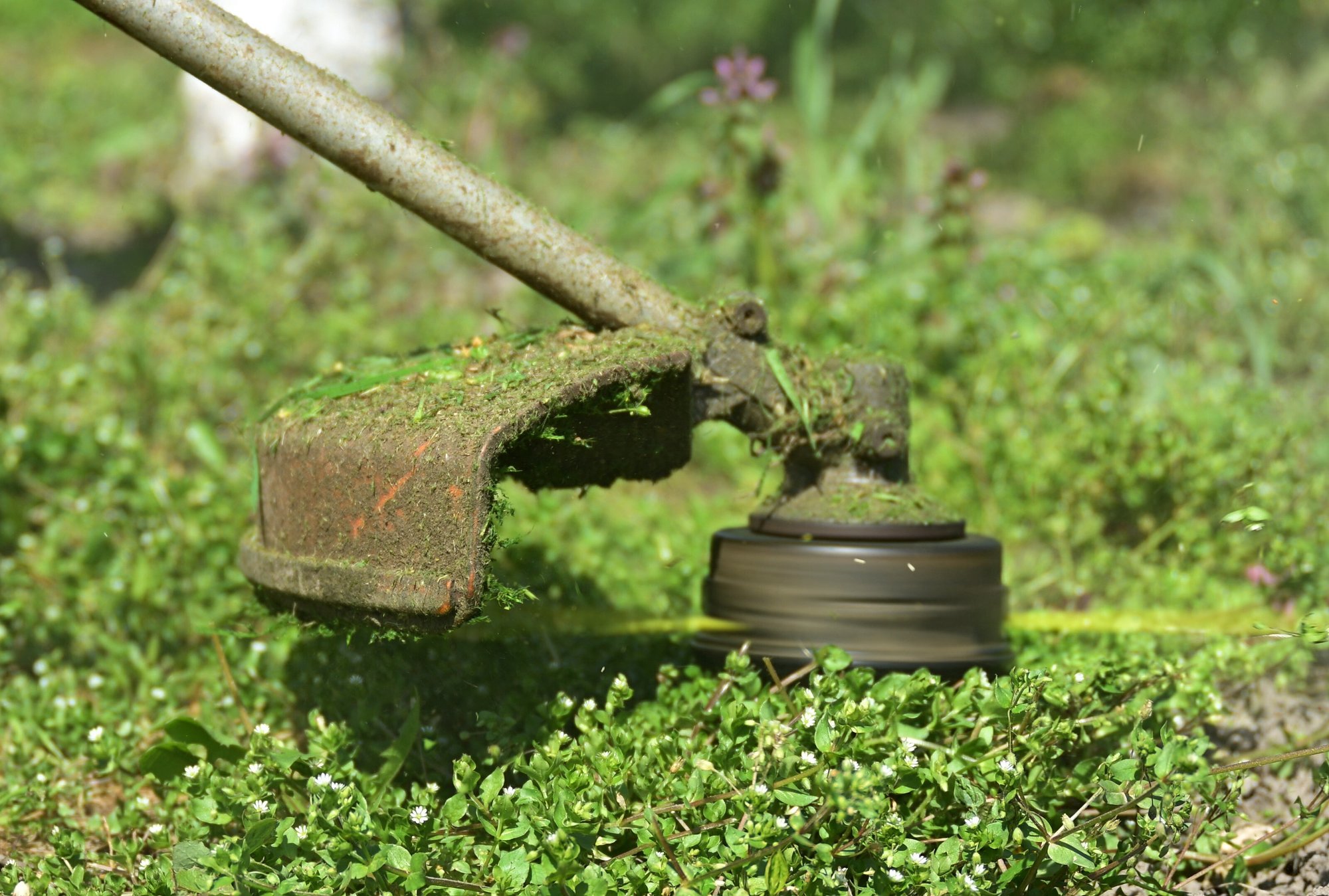 iStock-2217532823 (1)- test 2