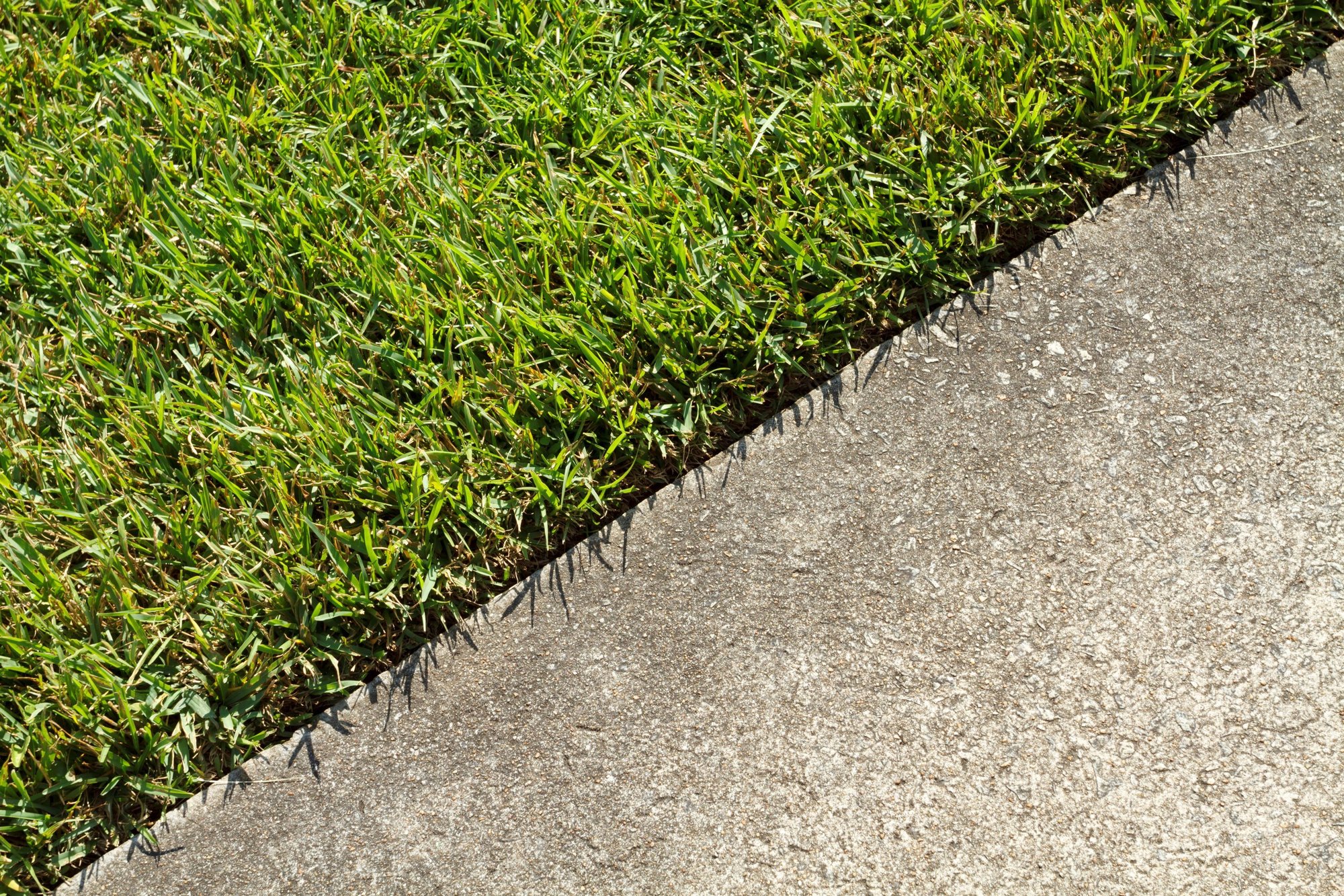 iStock-509206617-resize